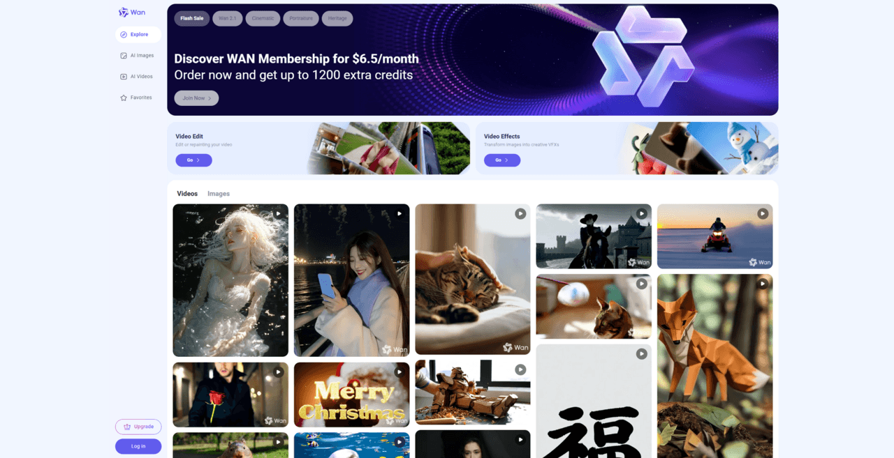 WAN (Wan-Video / Wan2GP) screenshot