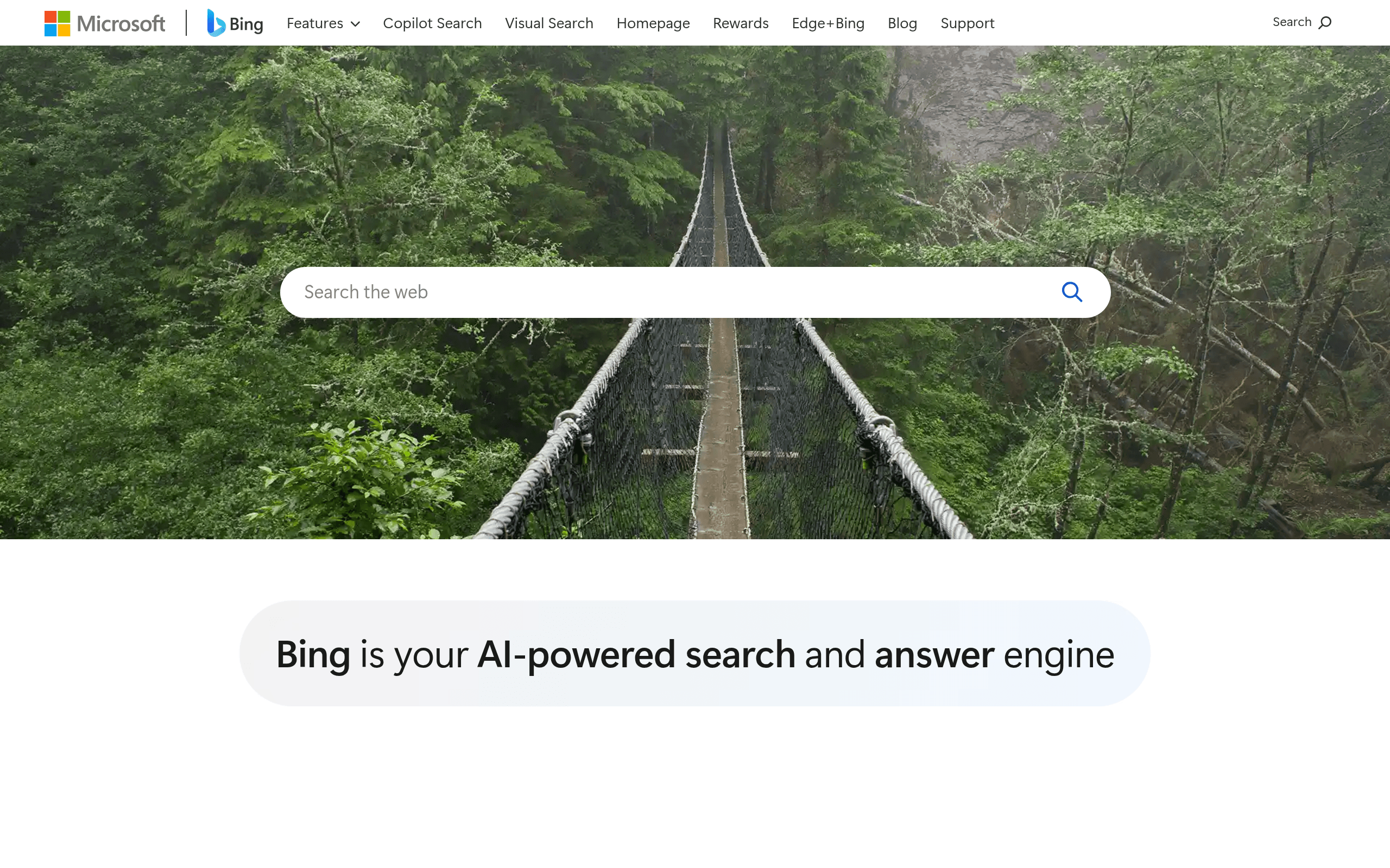 Microsoft Bing screenshot