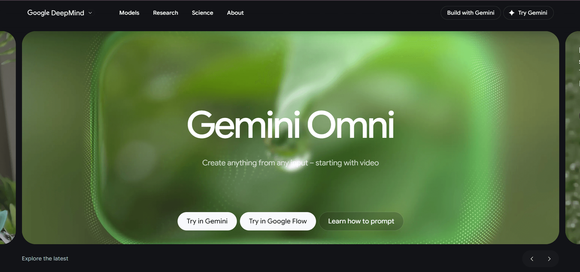 Gemini Omni screenshot